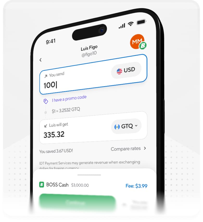 BOSS Money amount and exchange-rate interface
