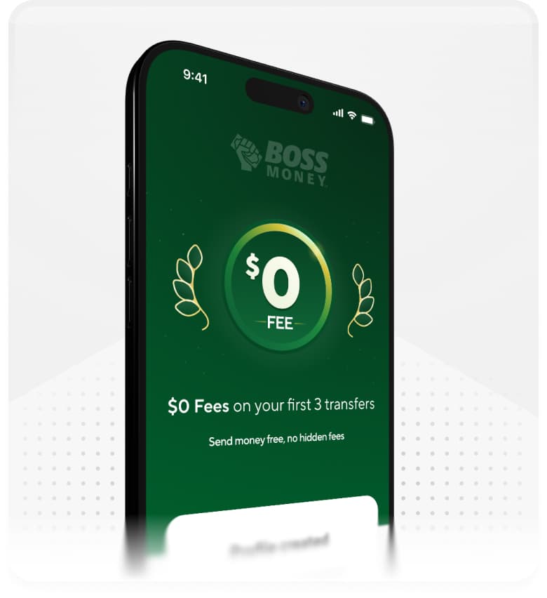 BOSS Money promotional and transfer-status interface
